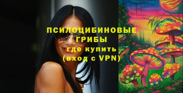 винт Каменск-Шахтинский