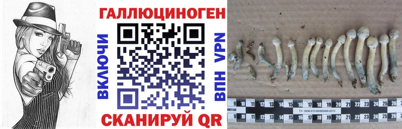 Галлюциногенные грибы MAGIC MUSHROOMS  Купить  Малоярославец 